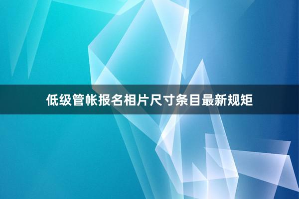 低级管帐报名相片尺寸条目最新规矩